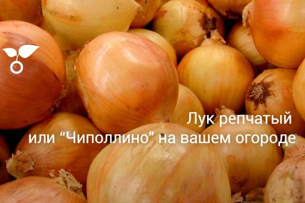 Kraken оригинальная ссылка