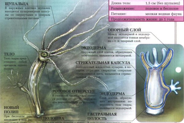 Регистрация на кракен