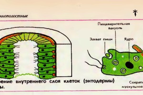 Браузер для кракен