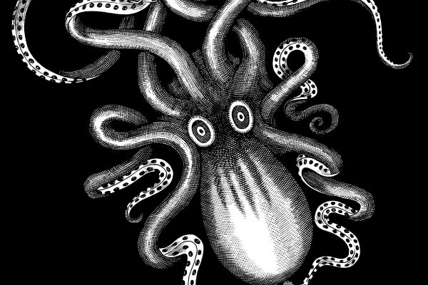 Kraken войти kraken ssylka onion