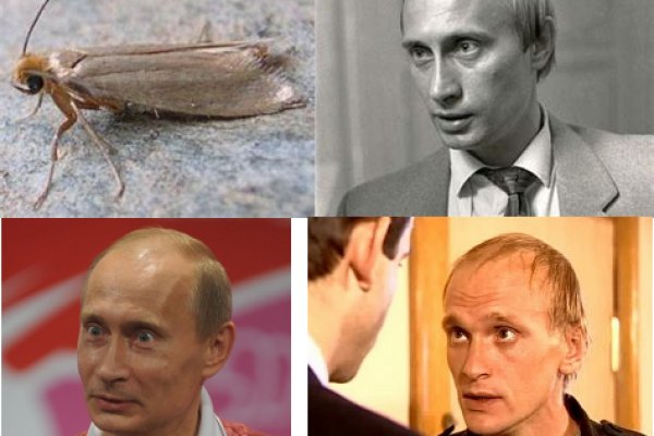 Кракен макет даркнет